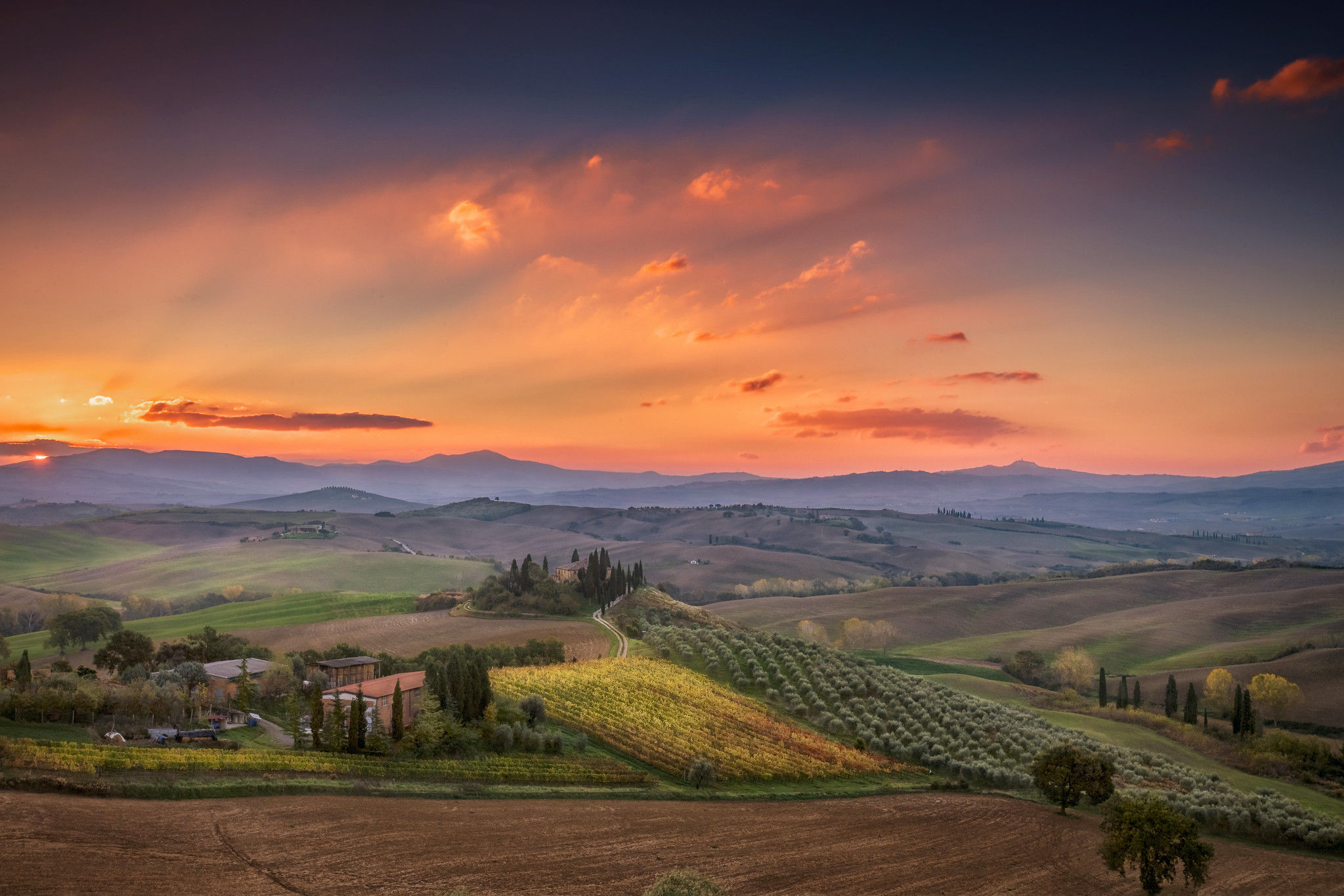 Tuscany Wine