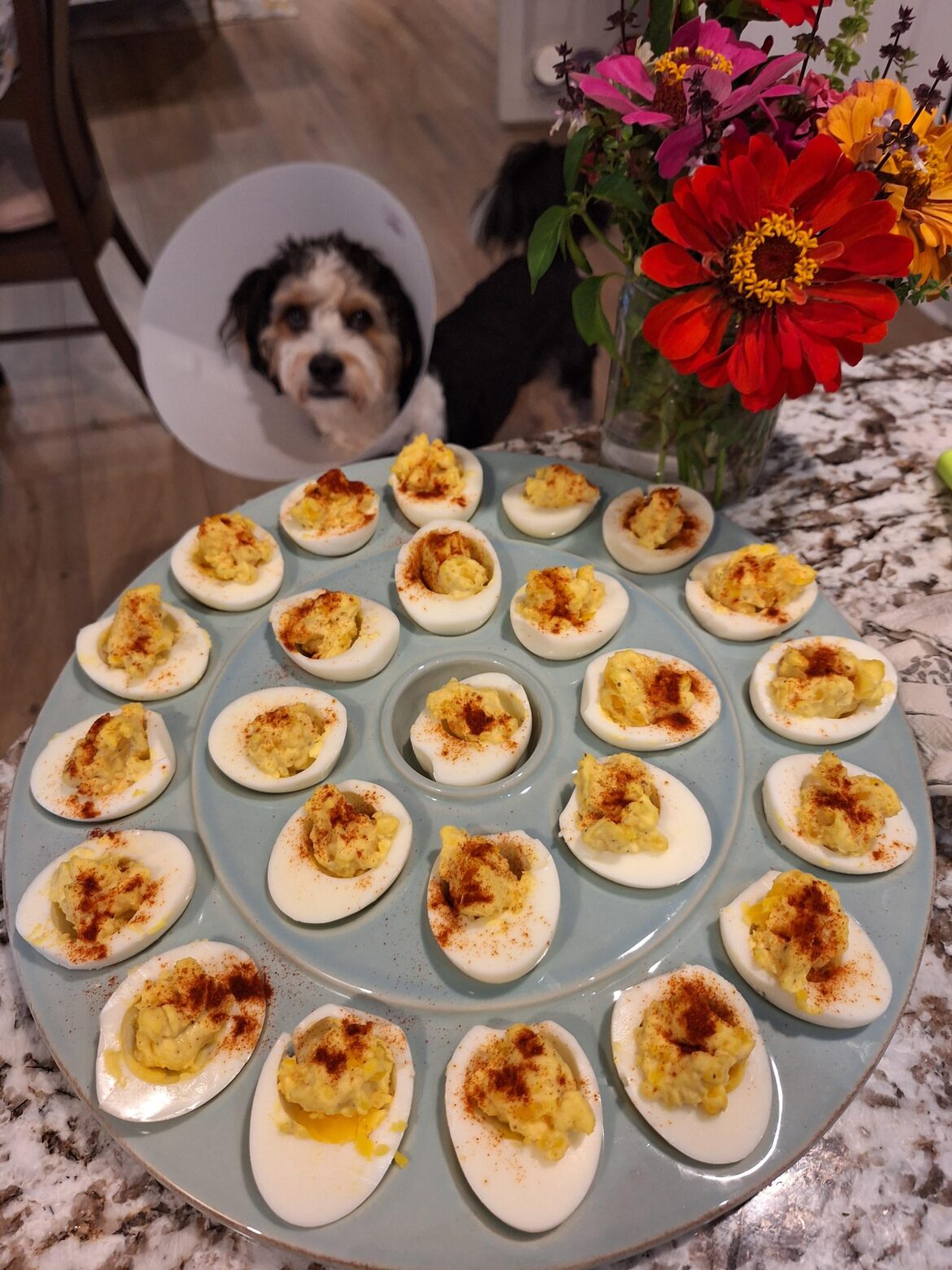Hardboiled eggs stuffed with their own seasoned yolks [homemade]