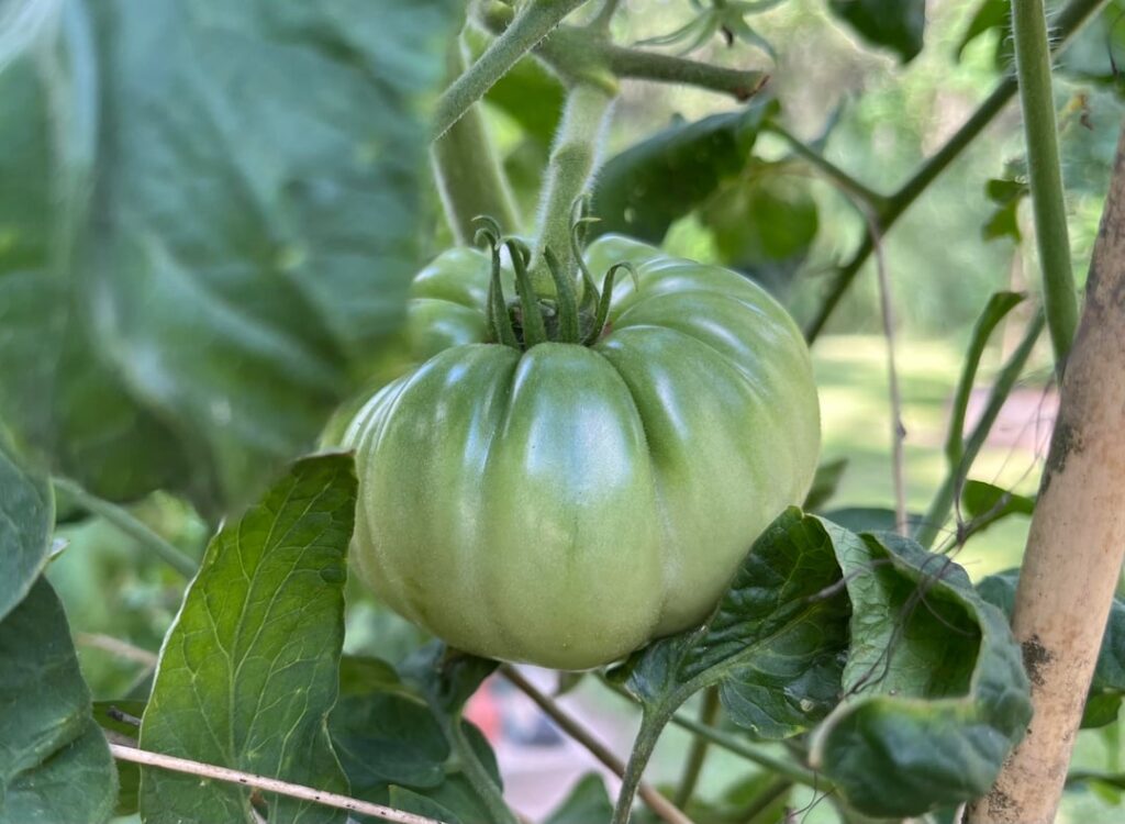 Goodbye to 2025, Thanks for the Memories. Goodbye to 2025, Thanks for the Memories.