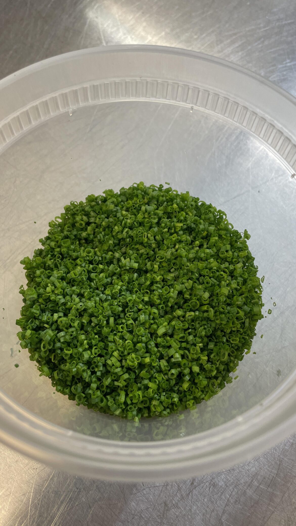 Cutting a cup of chives ever day until this Reddit says they’re perfect. Day 3