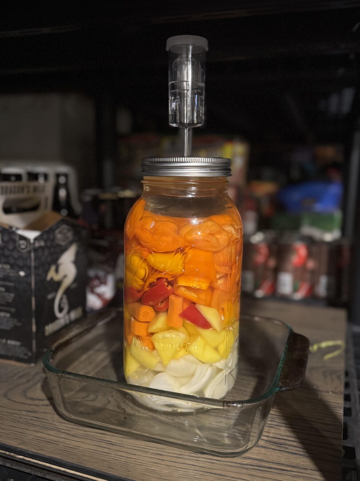 First time fermenting for hot sauce. Everything used is homemade from the garden.