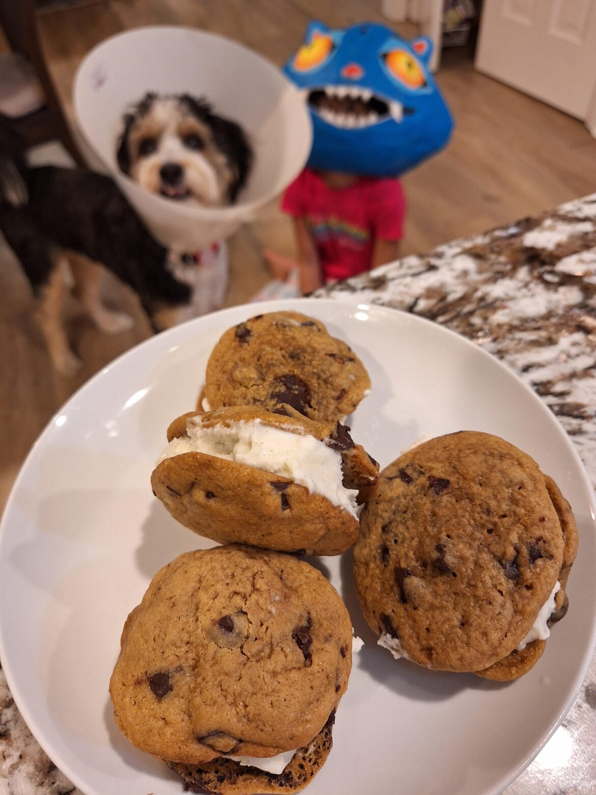 Ice cream sandwiches [homemade]