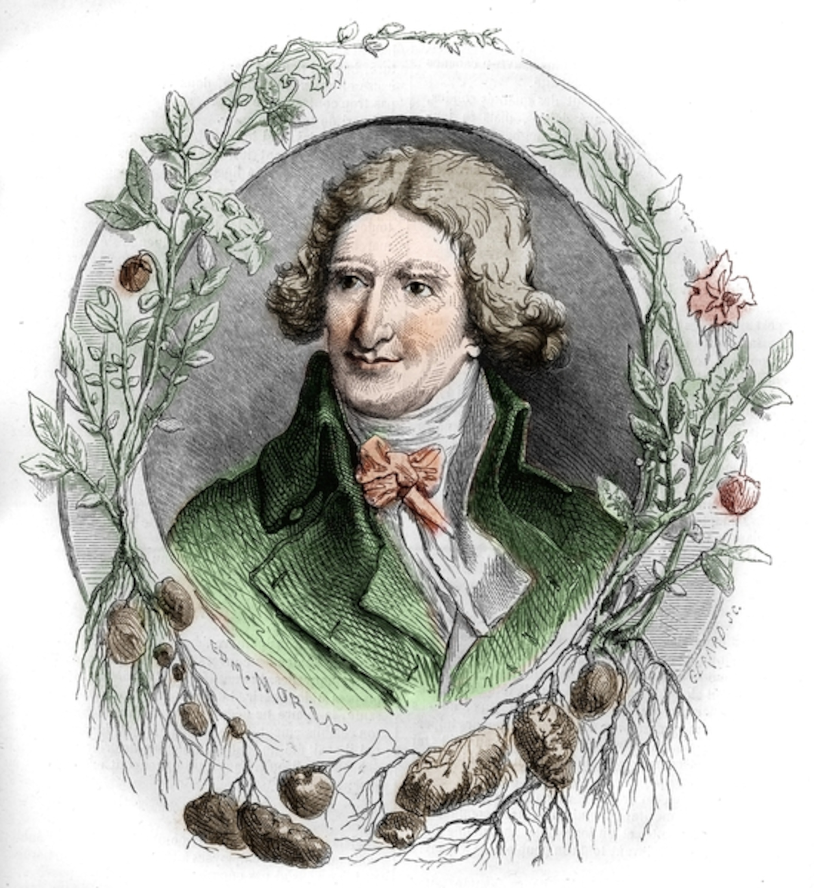 colored engraving of a colonial man surrounded by potato plants