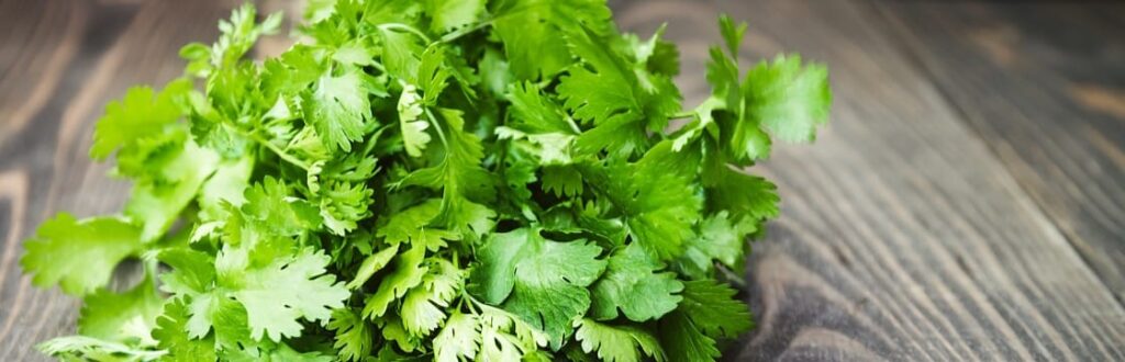 Ingredient: Coriander