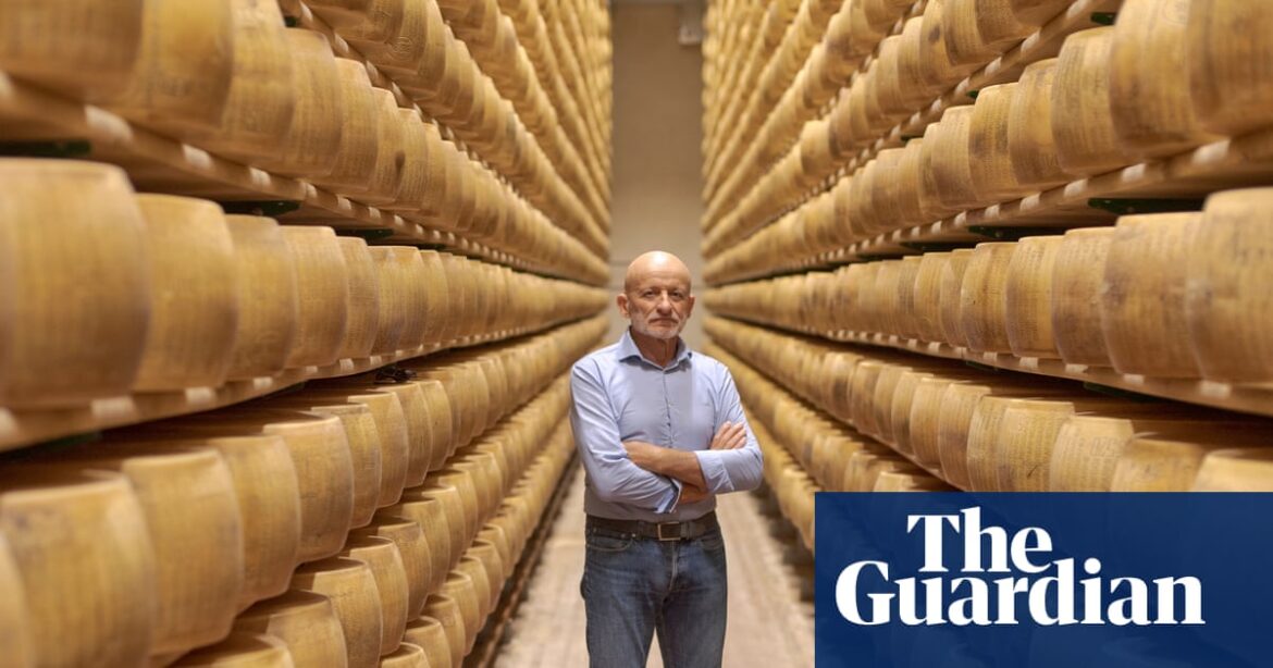 Where there’s a will there’s a whey: cheese producers lean into their craft as Trump tariffs bite | Italy