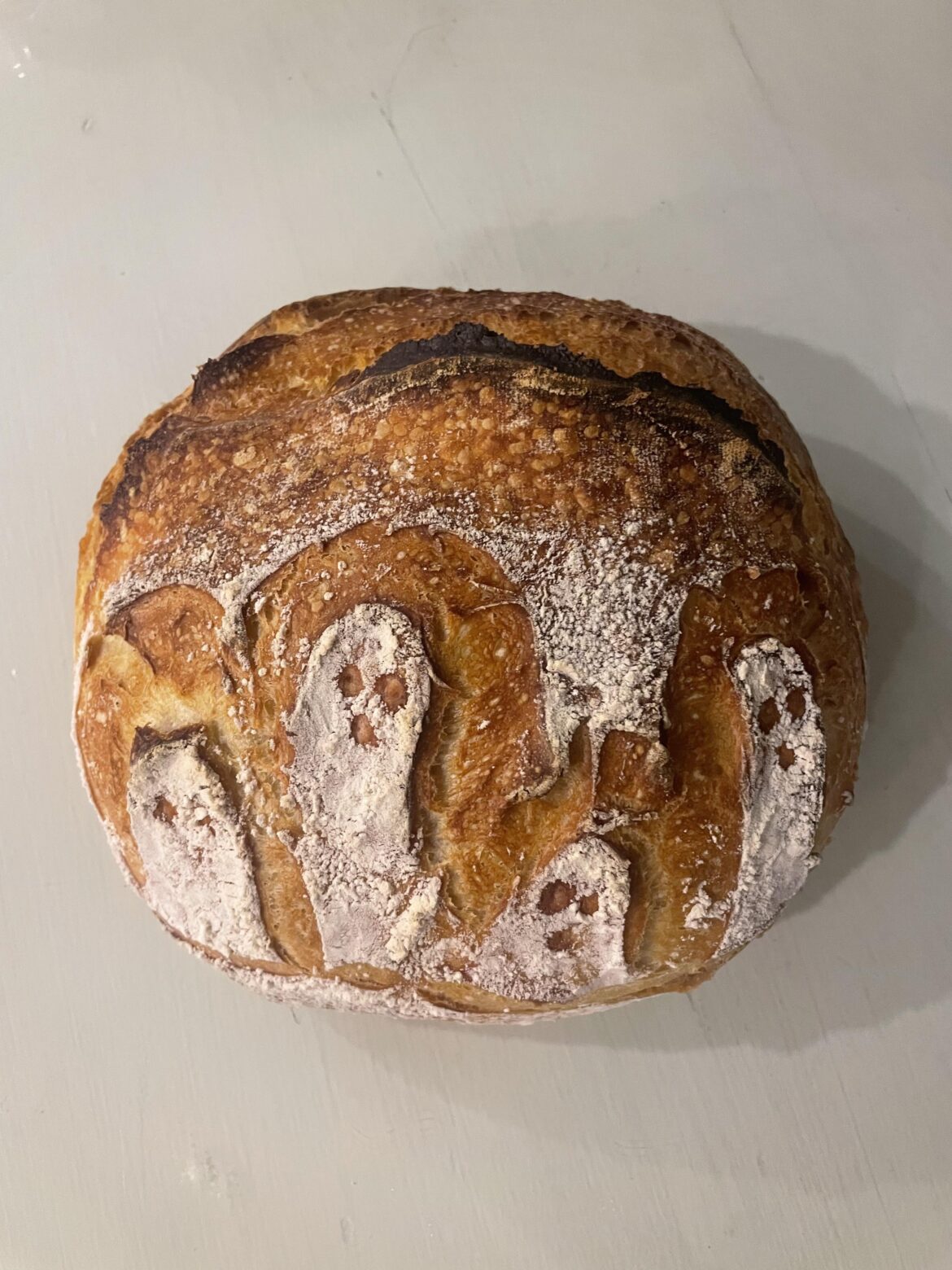 She’s a beaut 👻                                 Revived 6 month old refrigerator starter with one feeding