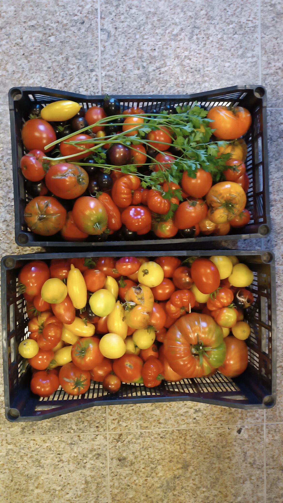 Keeps on producing Keeps on producing