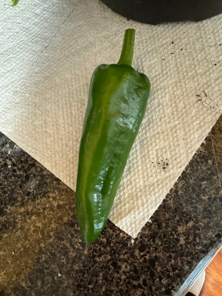 What pepper do I have? What pepper do I have?