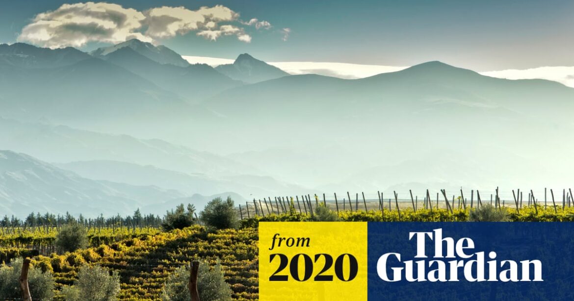 There’s more to Argentinian wine than malbec | Wine There’s more to Argentinian wine than malbec | Wine