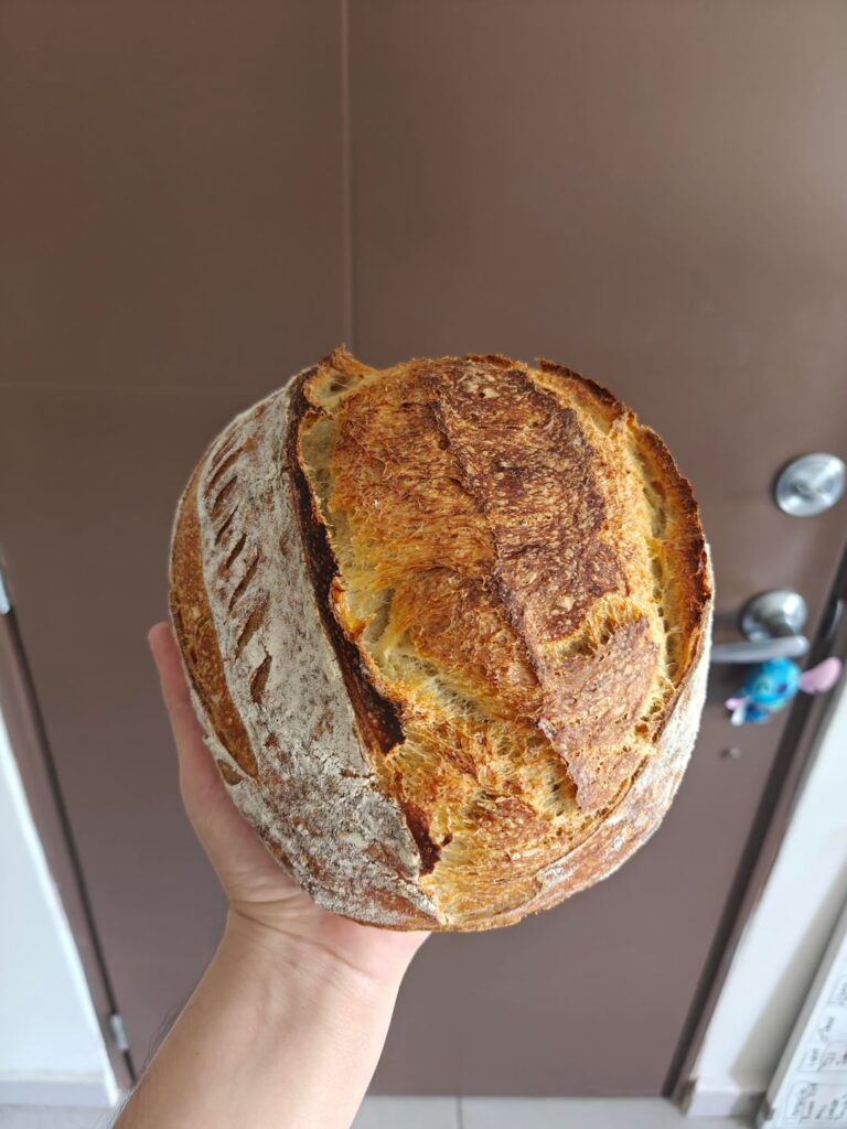 I present to you, my Magnus Opus! (Plus a bonus)