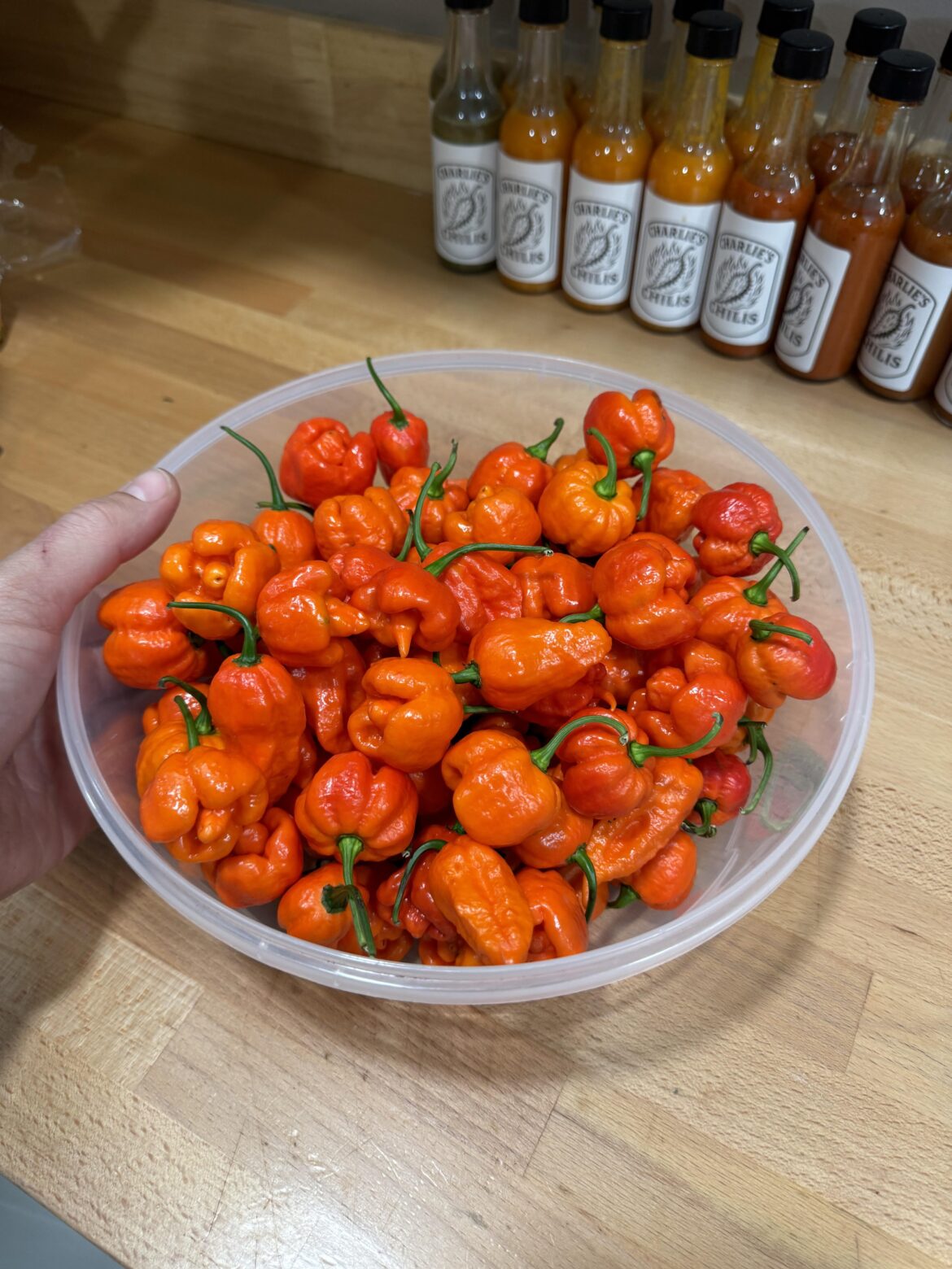 FINALLY a good harvest! FINALLY a good harvest!