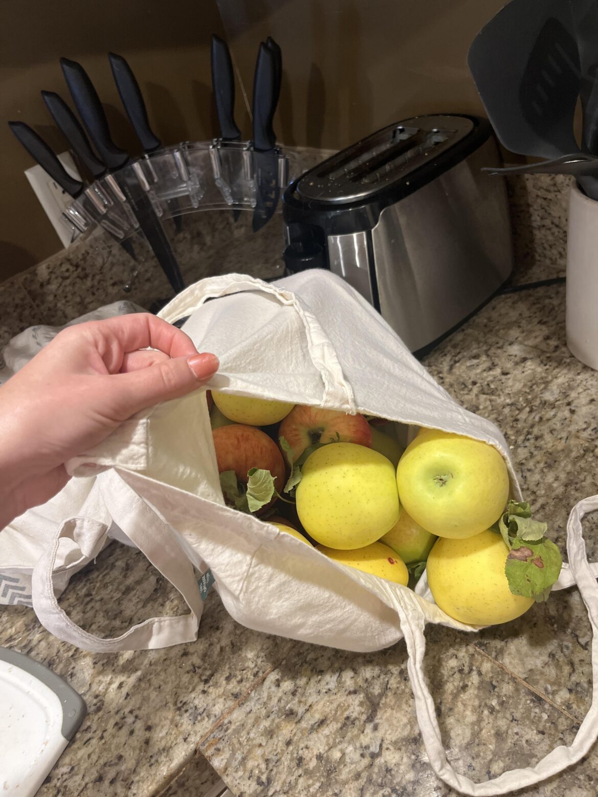 Canning Unpeeled apples?