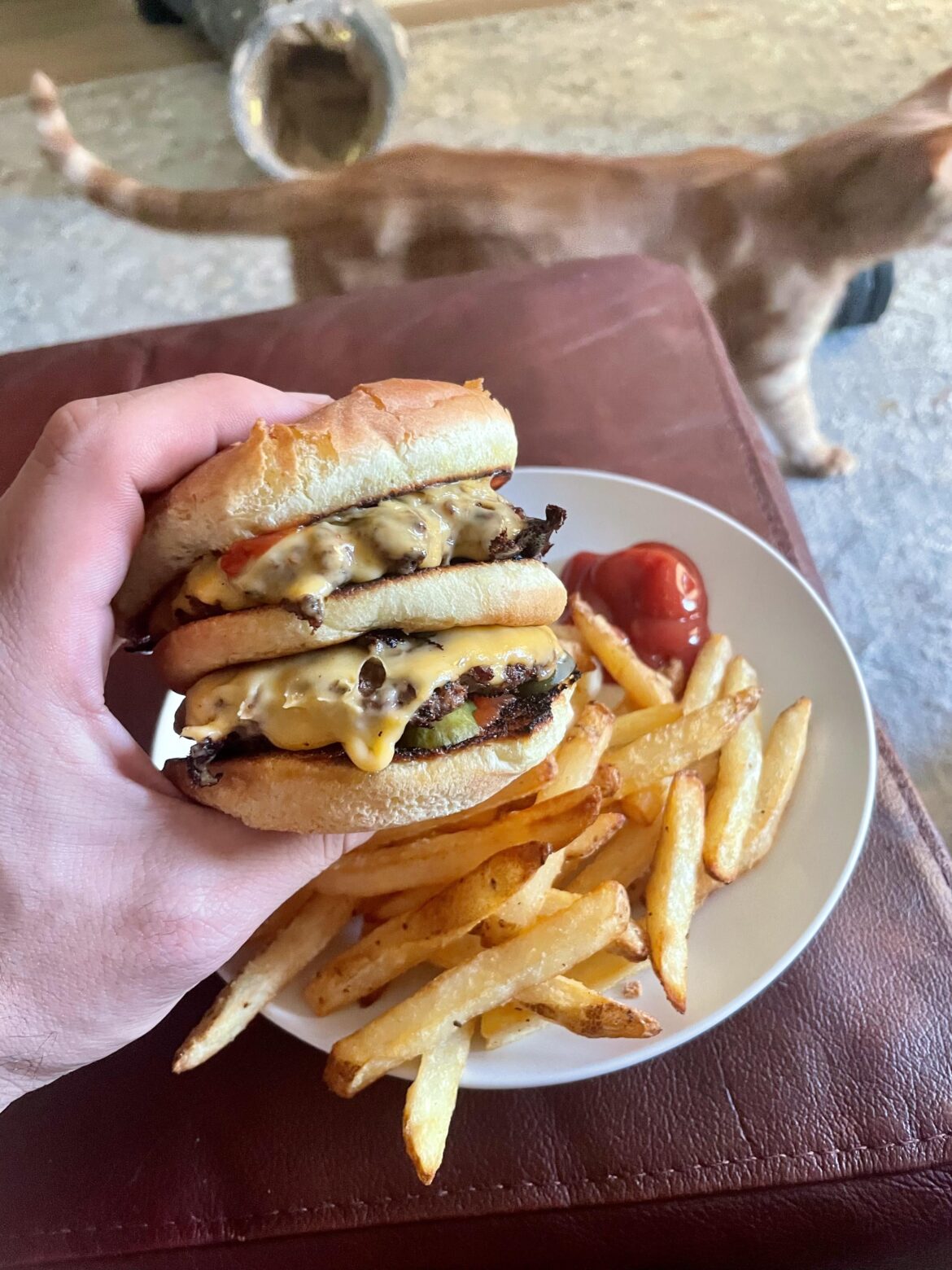 Homemade Cheeseburgermac