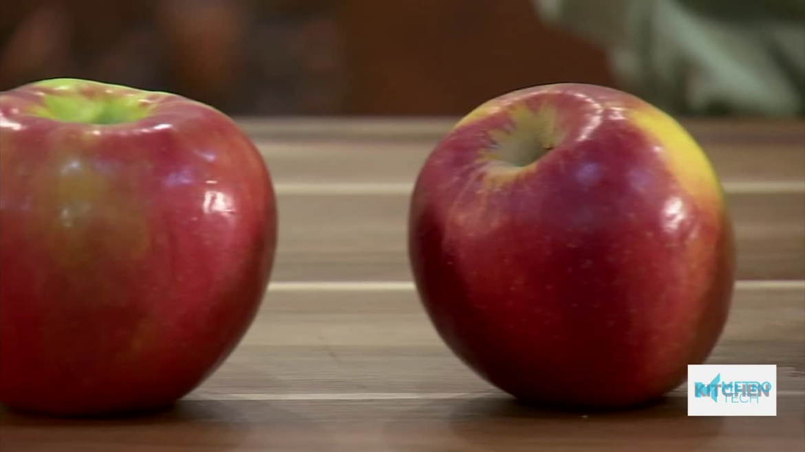 Which apples to use in your recipes