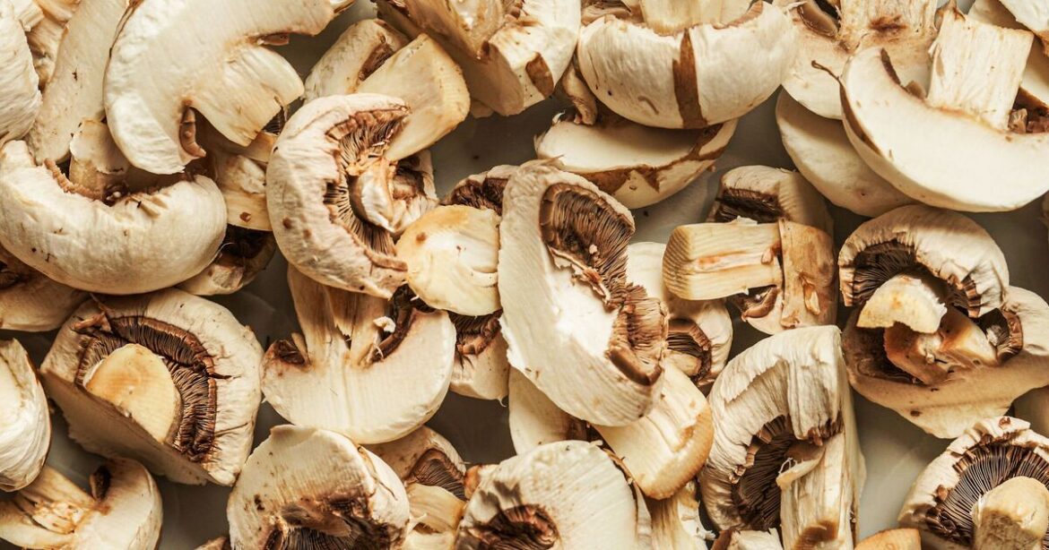 I asked 4 chefs their favourite mushroom recipes and they didn’t agree I asked 4 chefs their favourite mushroom recipes and they didn't agree