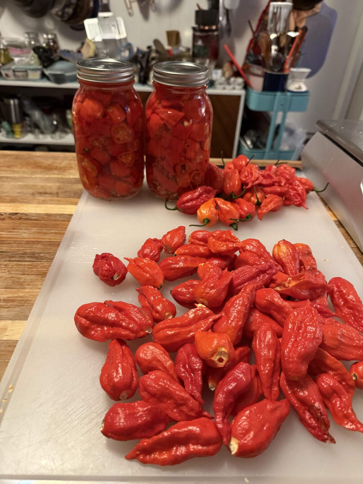 Carolina Reaper Help