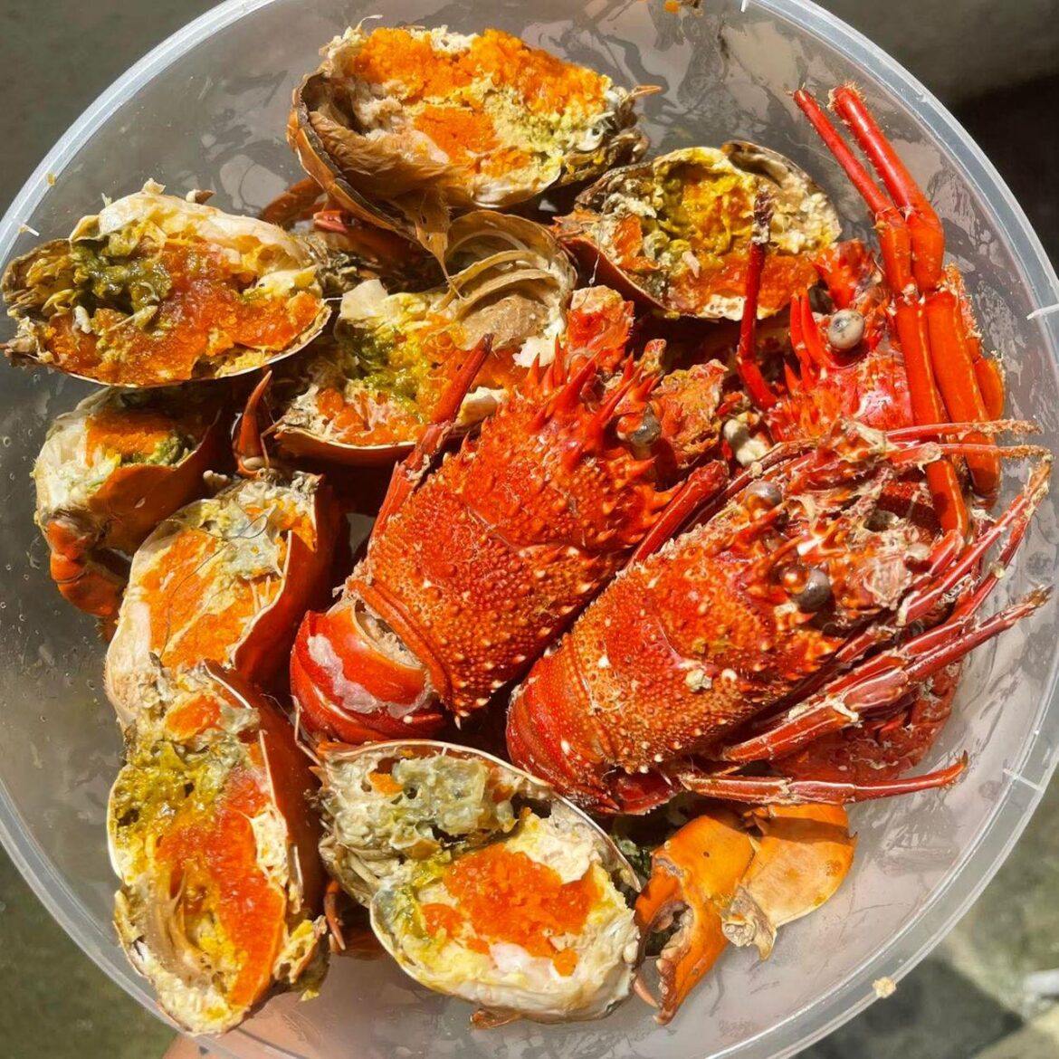 Seafood hits different when it is this fresh