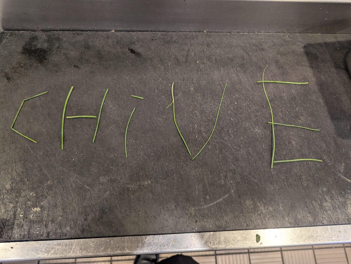 Please rate my chives