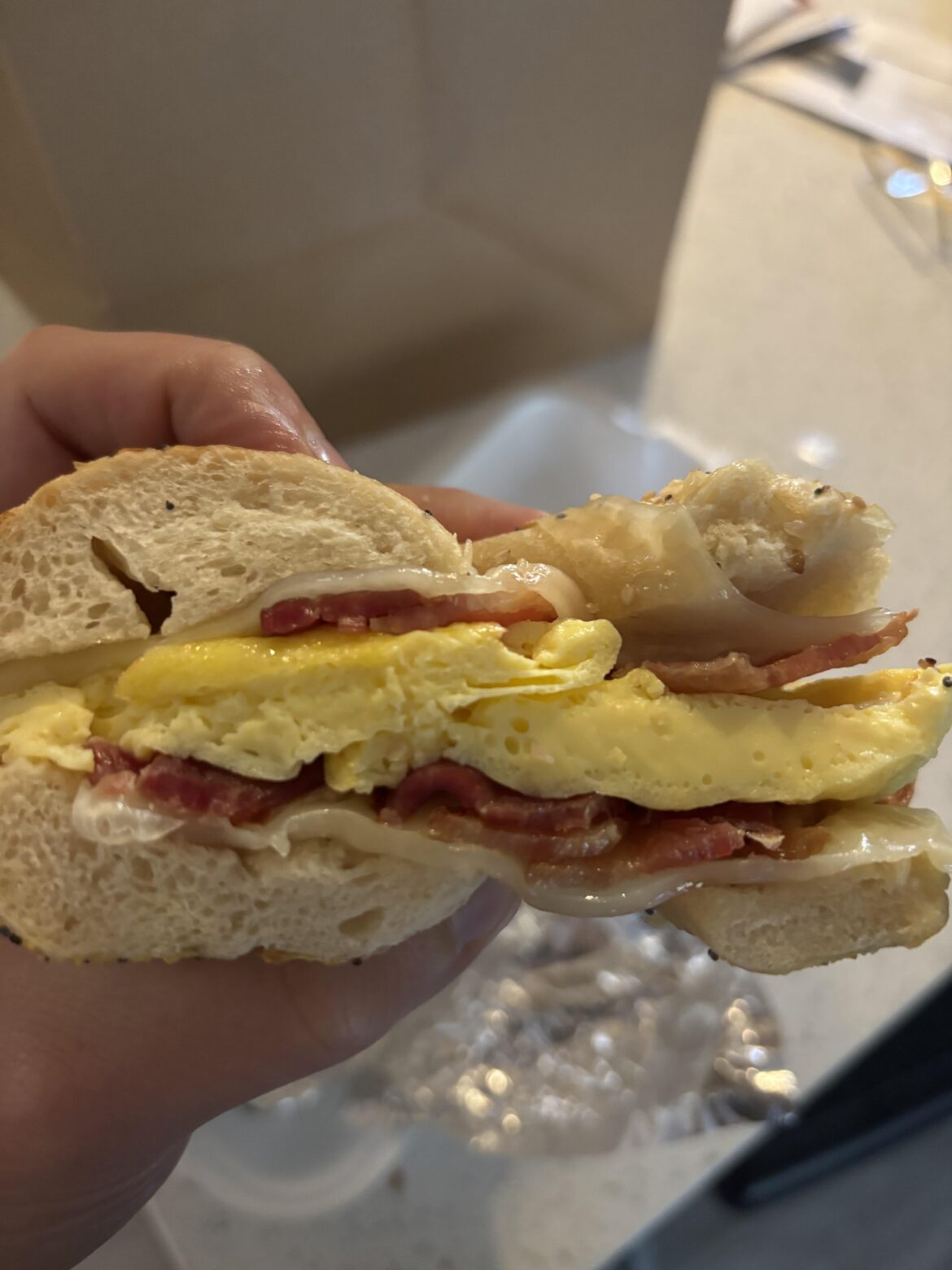 Bacon Egg Swiss Everything