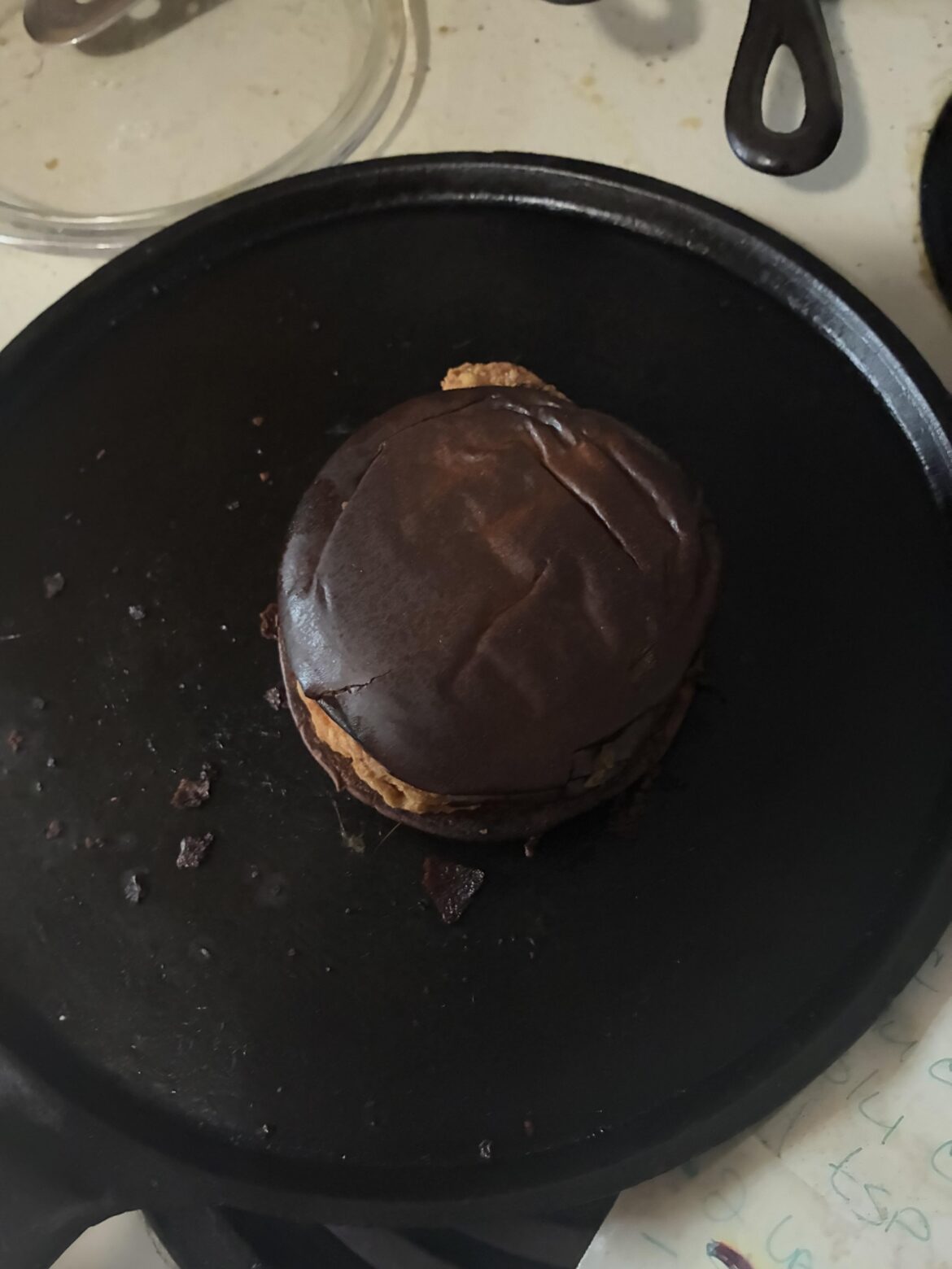 my dad was heating up a leftover mcchicken in the oven and forgot about it