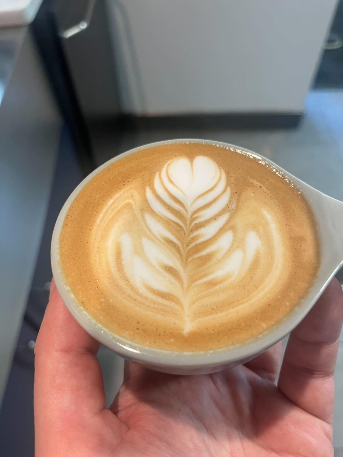 Little cappuccino rosetta