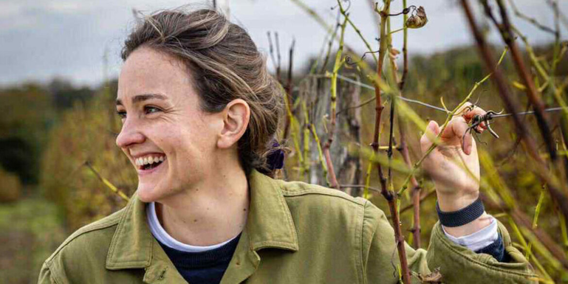 Organic Wines and the Story of Blanc d’Hiver Organic Wines and the Story of Blanc d'Hiver