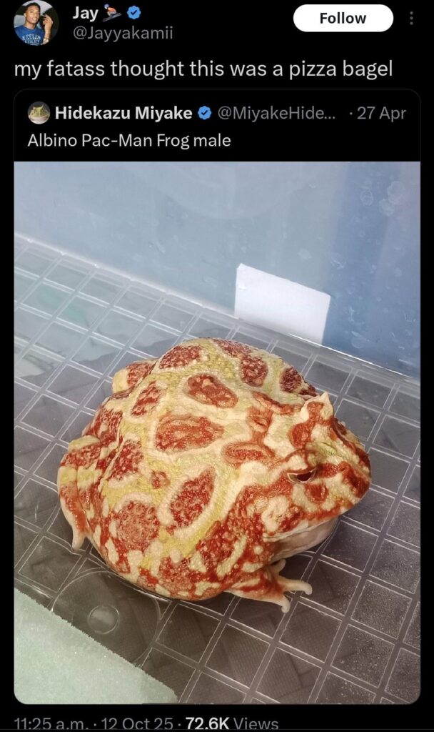 If you squint your eyes….