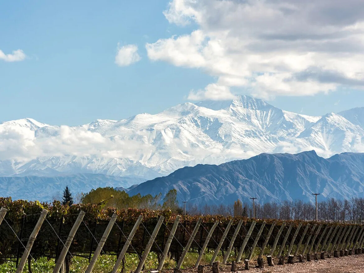 Stock up on these Argentine wines for holiday entertaining Stock up on these Argentine wines for holiday entertaining