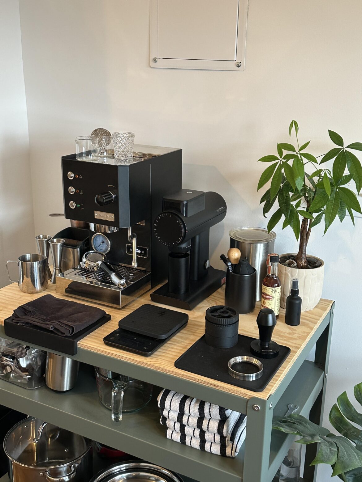 What do you think? What do you think?