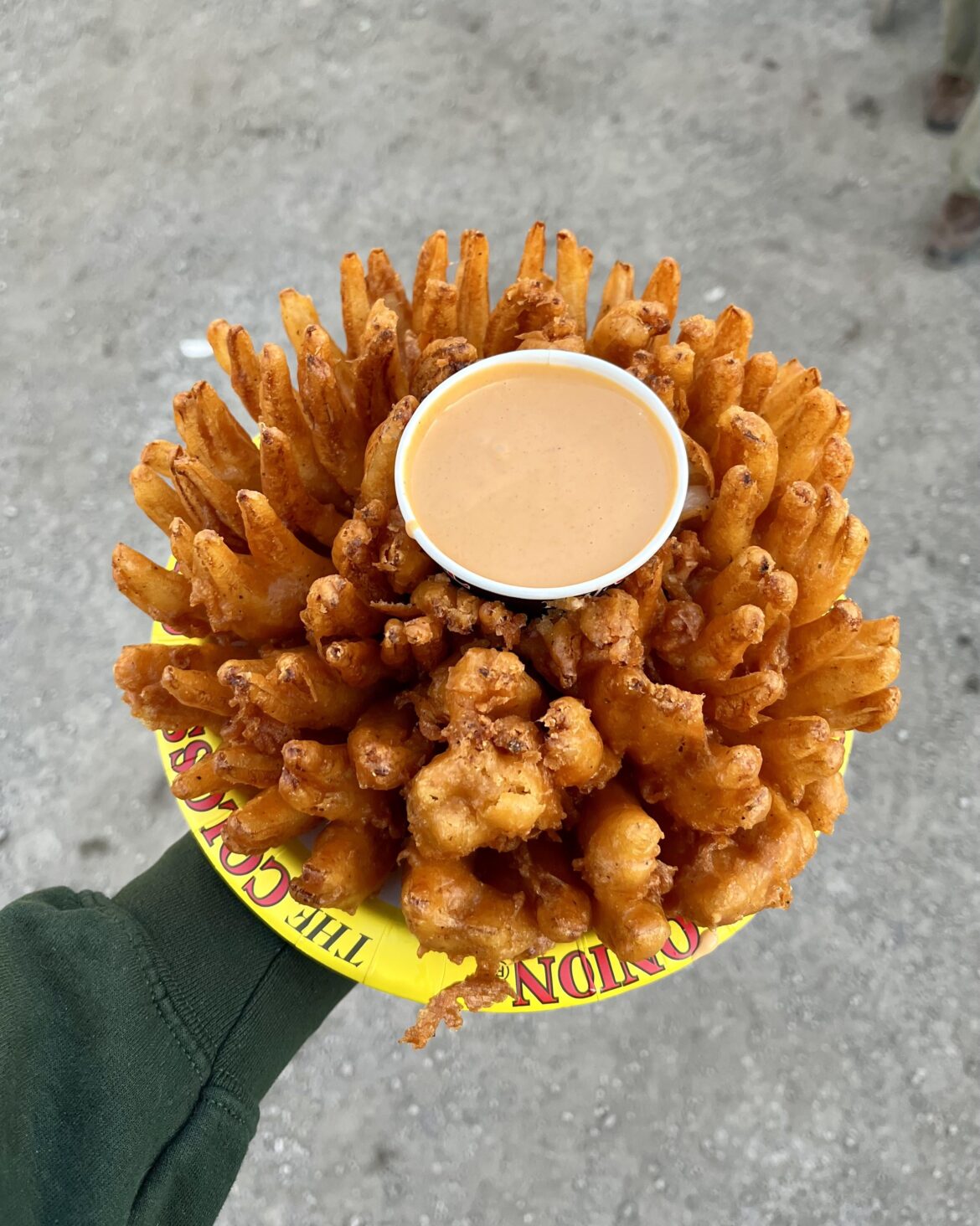 A trip to the fair wouldn’t be complete without a deep fried blooming Onion 🧅