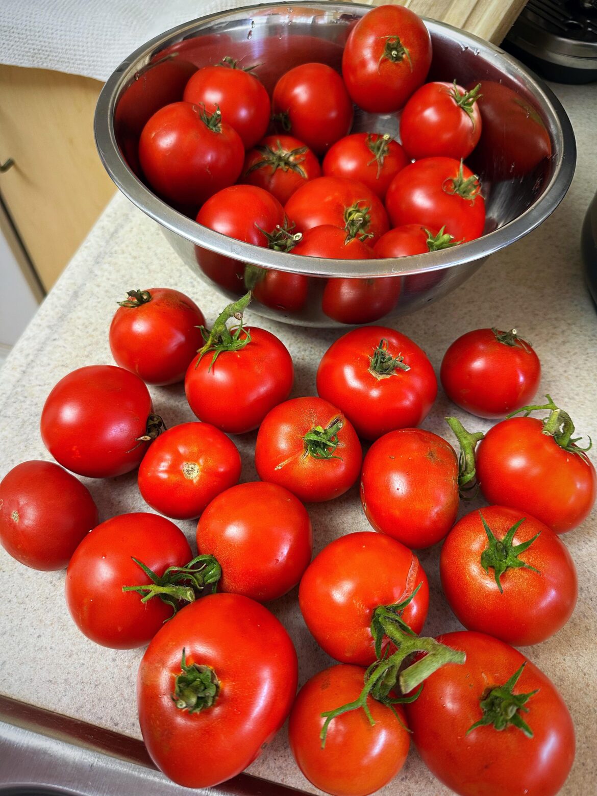 Newbie grower - I’m happy