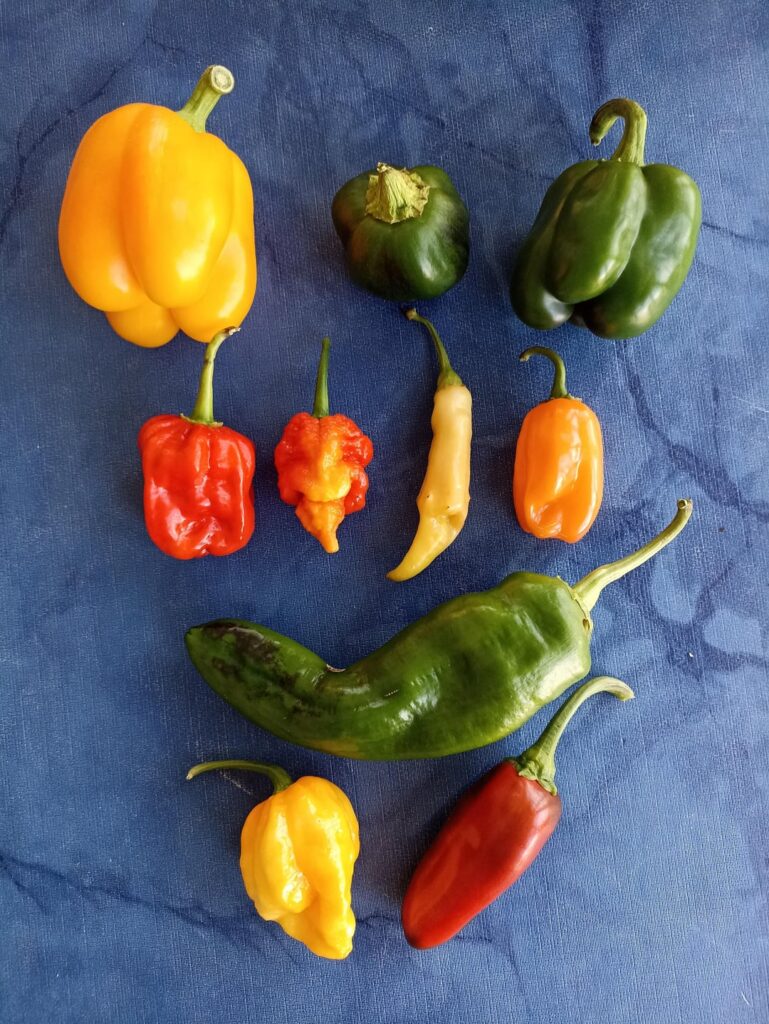 This years varieties! Can you identify all of them?