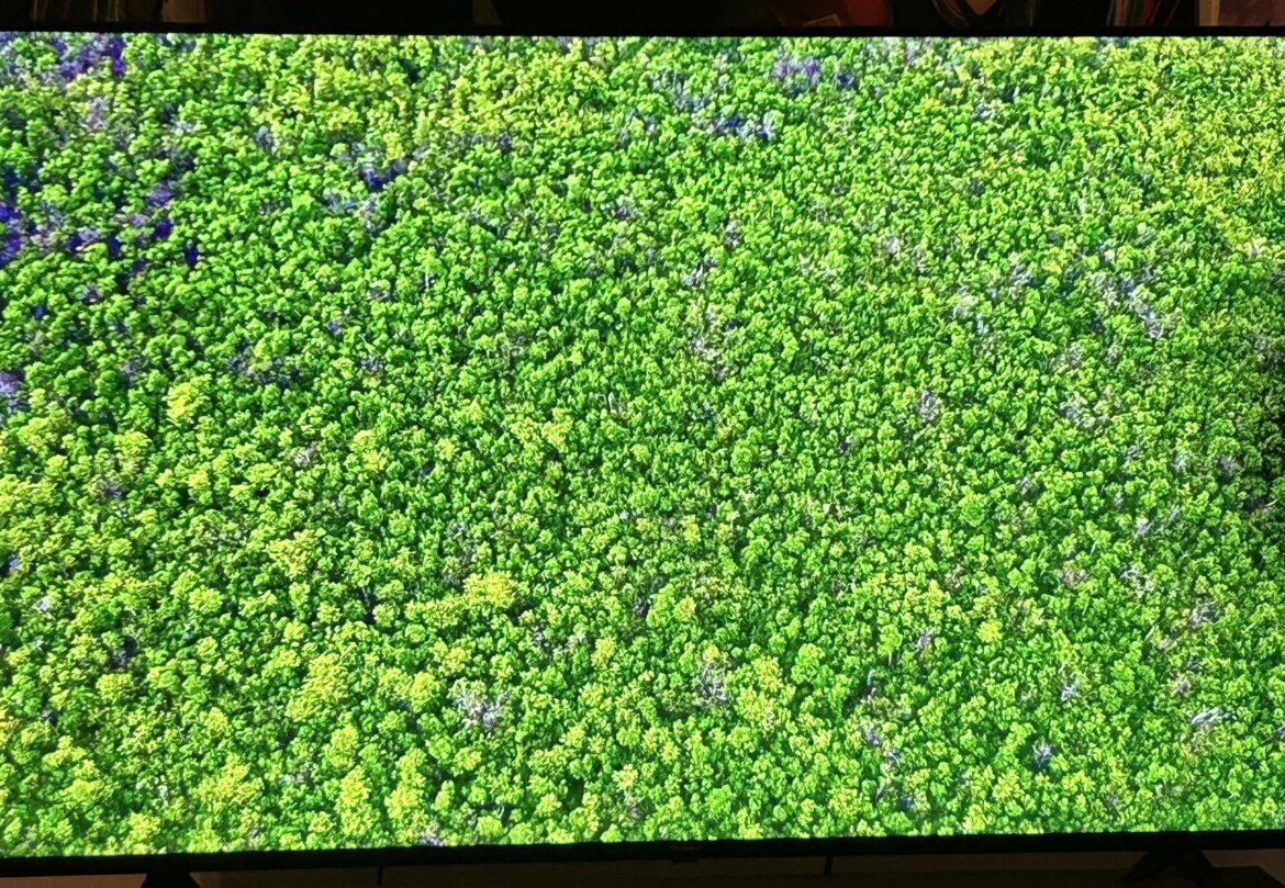 I think I need to leave this sub.