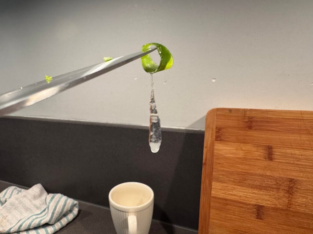 What is this transparent thing I found while chopping spring onion?