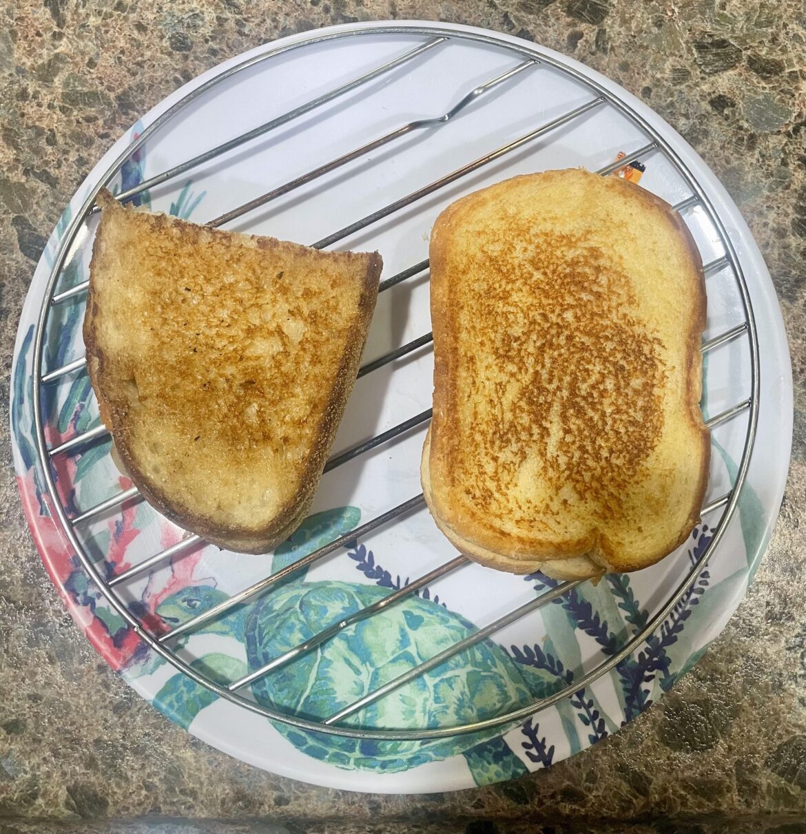 Saturday Morning Grilled Cheese