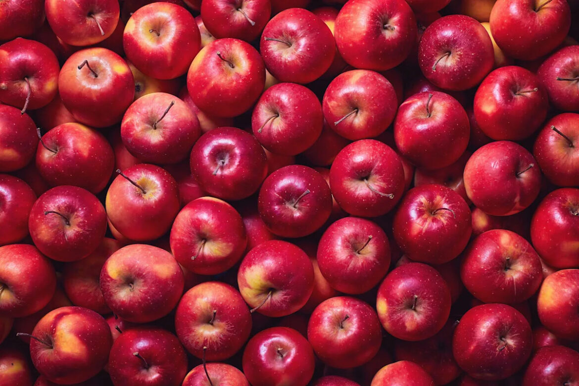 Looking for new apple recipes? How to cook or bake with your apple picking haul to make the most of this ingredient rich in fibre and micronutrients Looking for new apple recipes? How to cook or bake with your apple picking haul to make the most of this ingredient rich in fibre and micronutrients