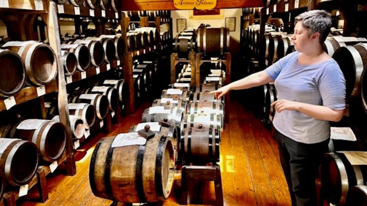 Italy's 'Food Valley' is all about wine, cheese and cuisine