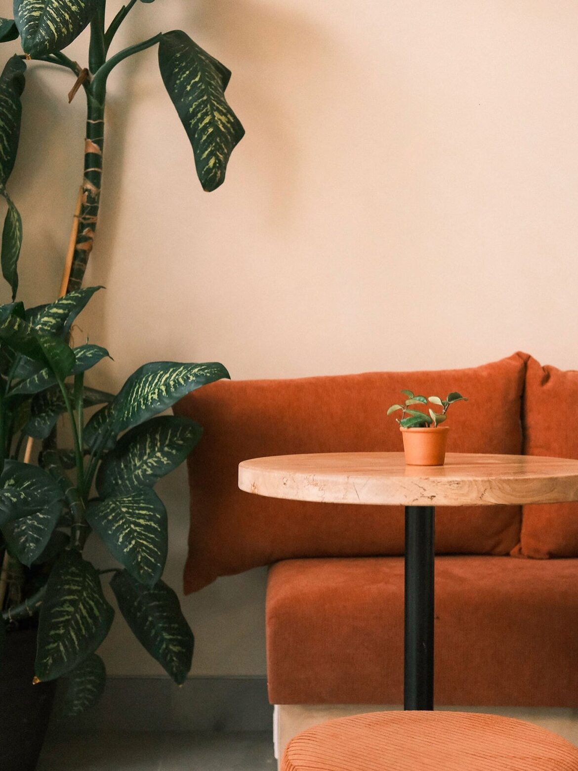 Written by Chandni Sakhrani