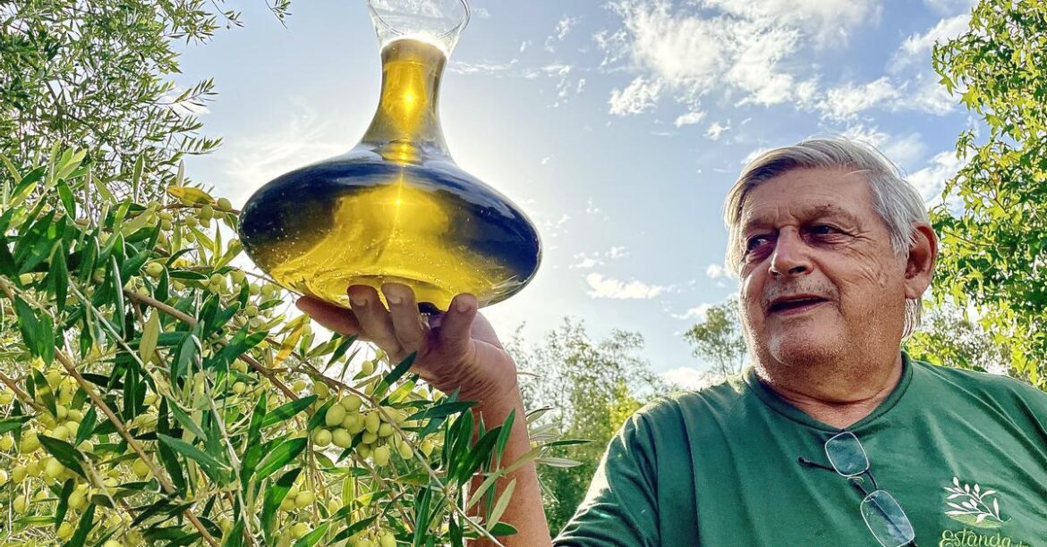 Brazilian extra virgin olive oil gains prestige