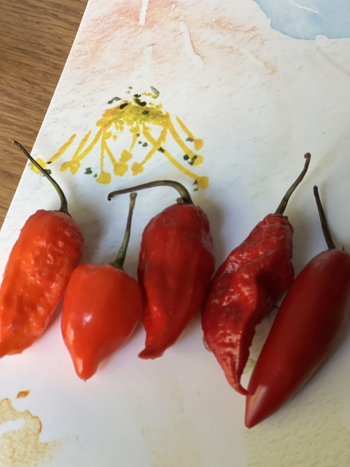Neighbor gave us peppers from his garden but we don’t know what they are