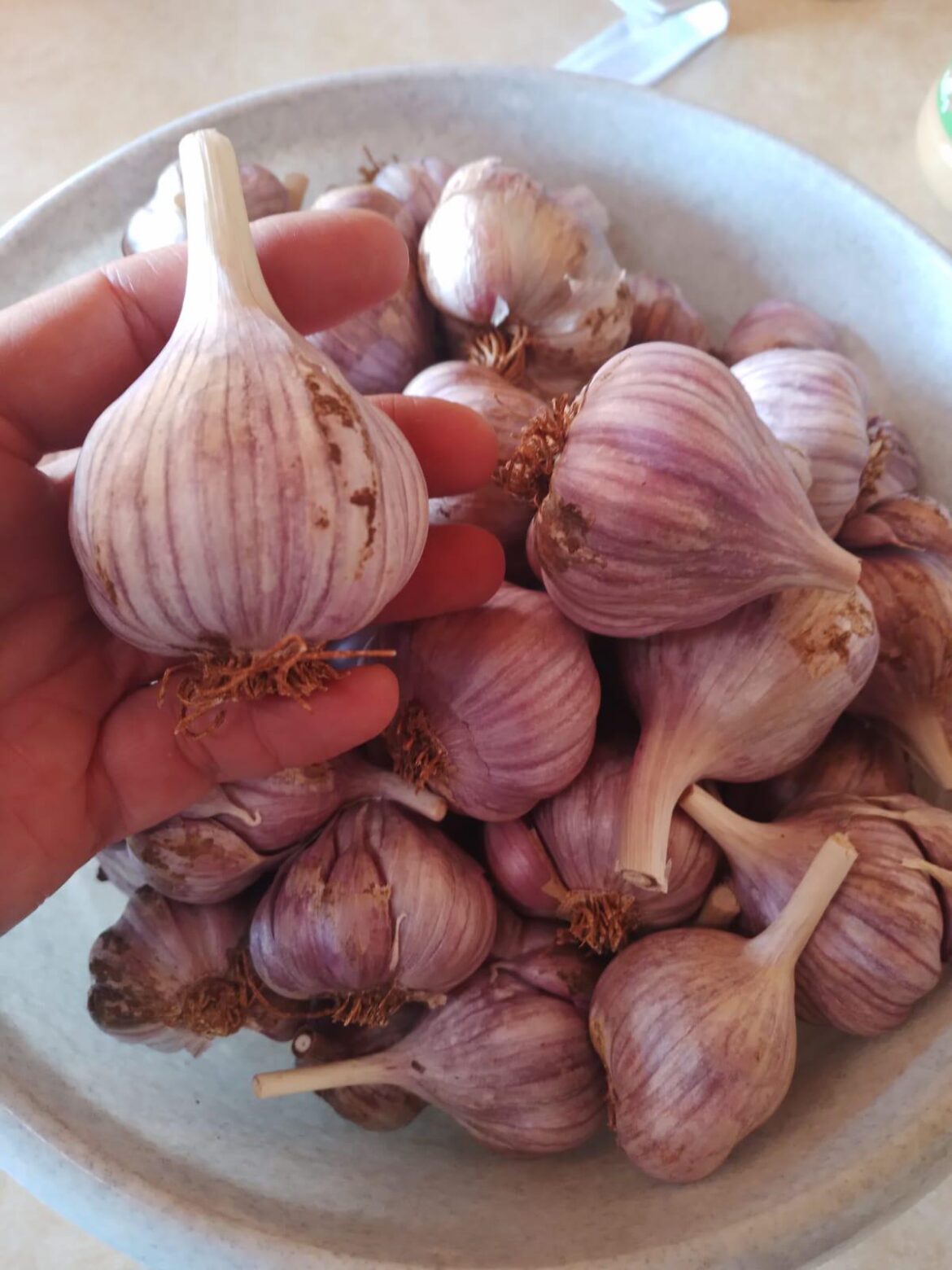 Is this enough garlic to last the week?
