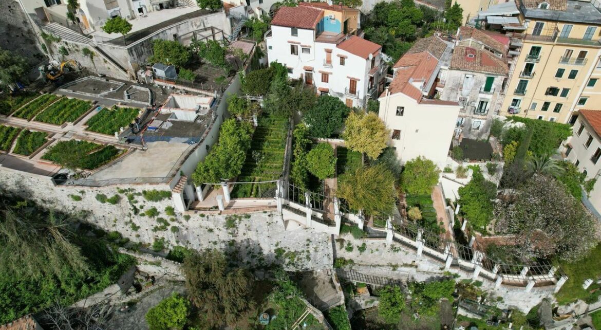 A Journey Through Taste and Culture