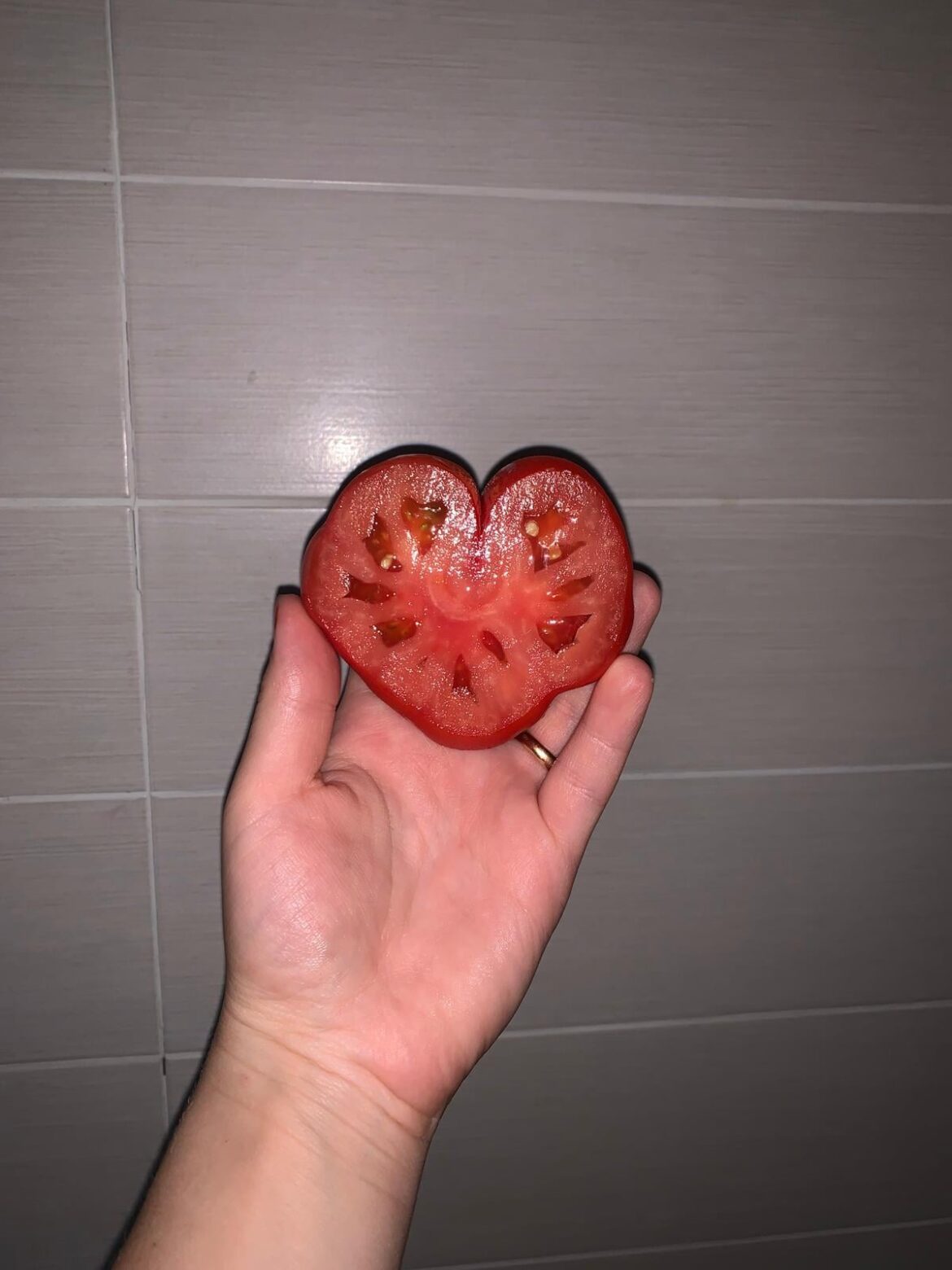 A heart shaped tomato from my little in-home "farm"