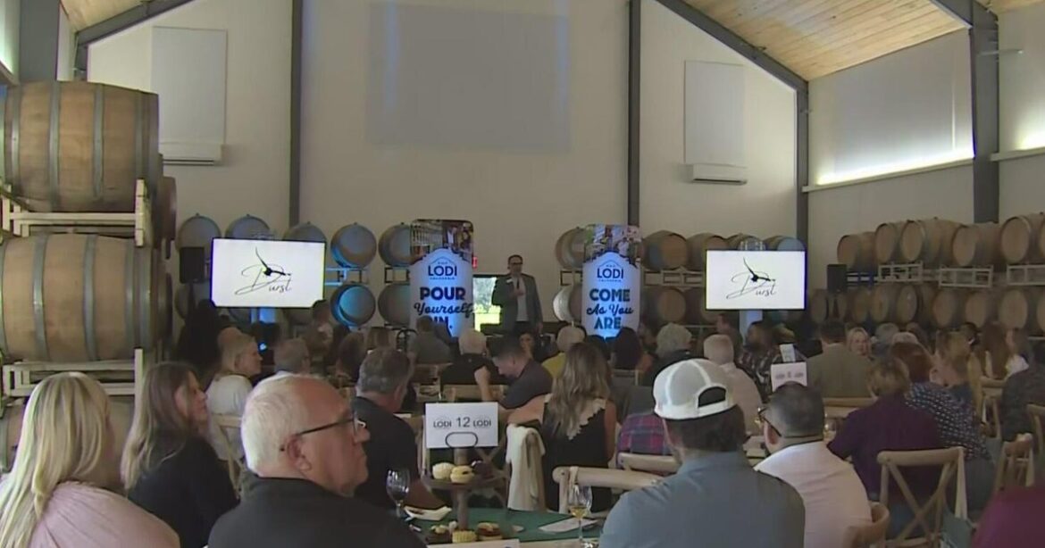 Lodi leaders unveil new tourism strategy: "Wine is only part of our story"