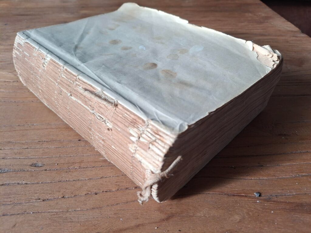 My great-grandmother's Dutch cookbook