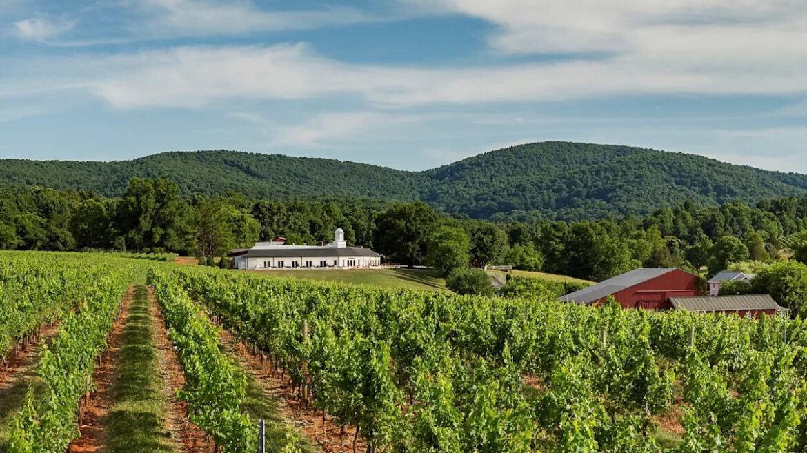 Virginia’s Underrated Vineyard Boasts Scenic Views Alongside Italian Influenced And Award-Winning Vintages Yahoo lifestyle home