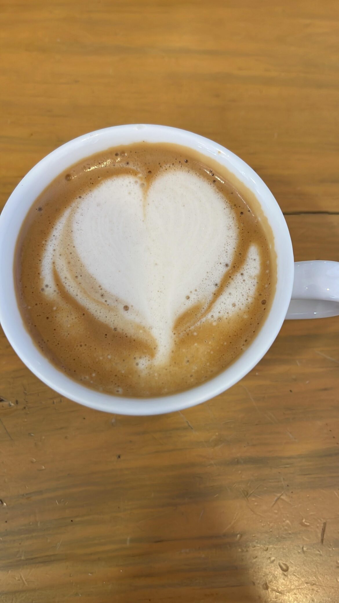 My attempt at art latte🍮