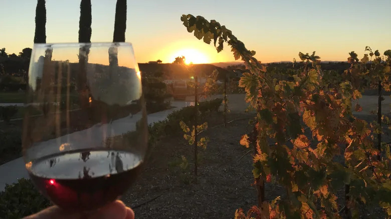 A glass of red wine with a vineyard sunset in background