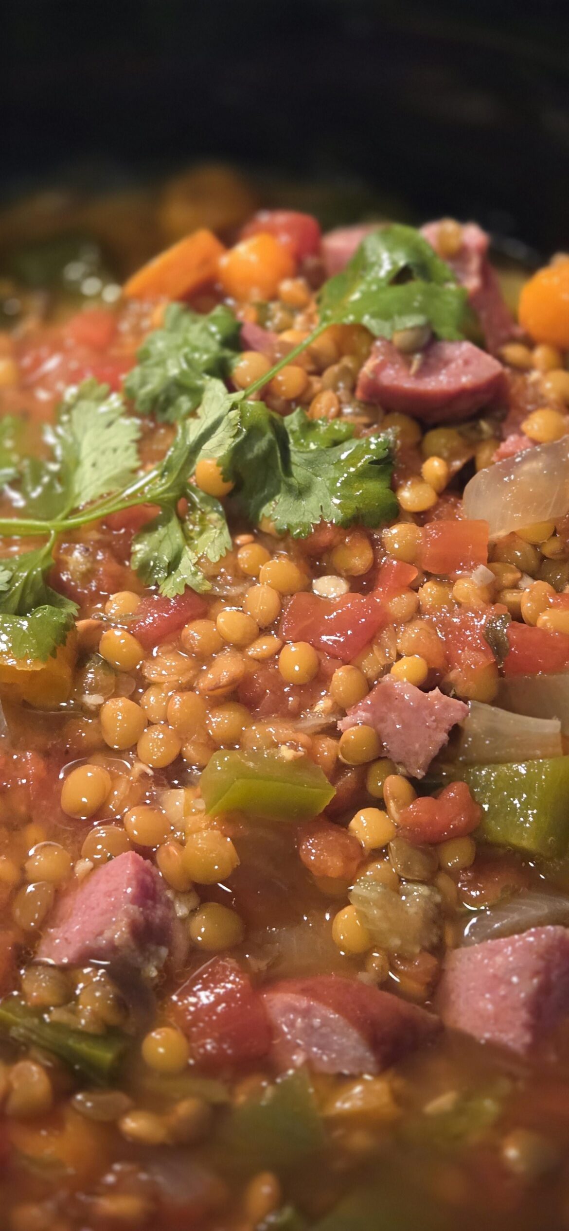 UPDATE: Lentils for the 1st time