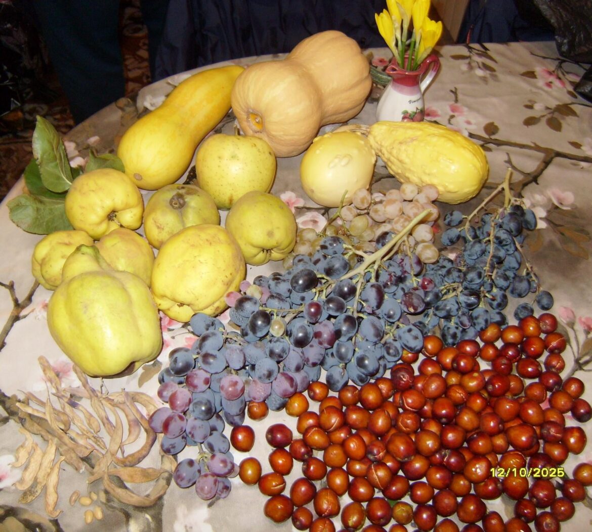 Fall harvest from my second garden. Harvested first pumpkins today.🍇🍏